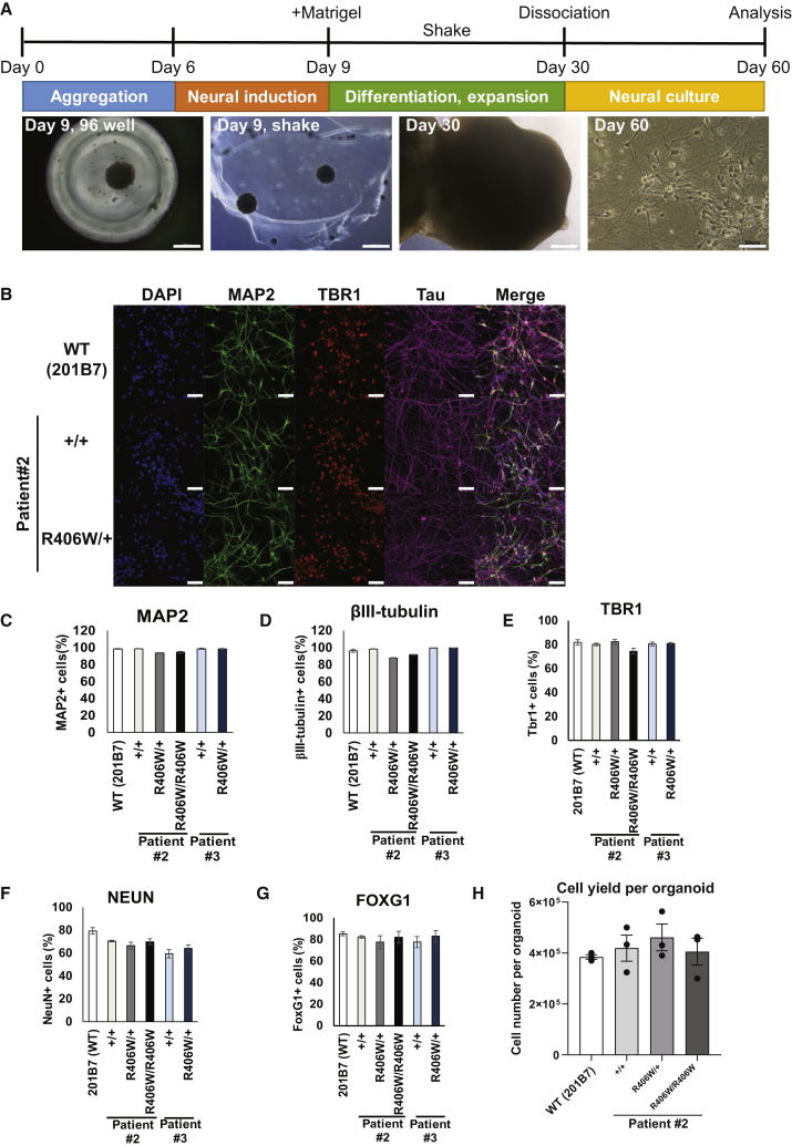 Figure 2