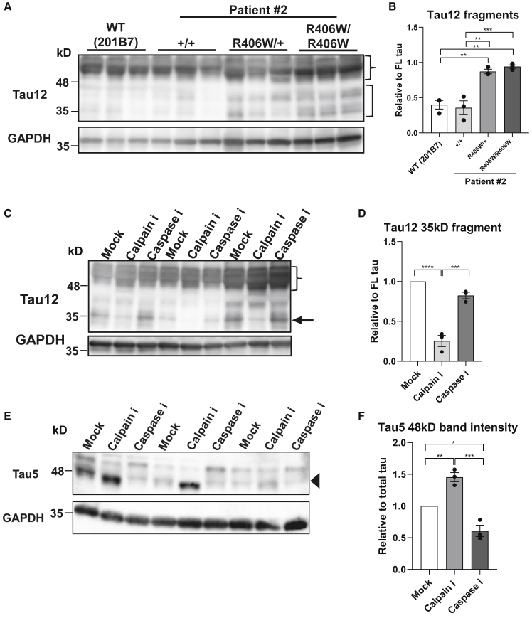 Figure 4