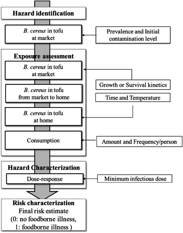 Fig. 1