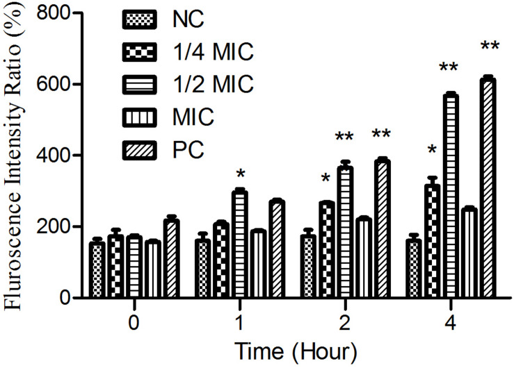 FIGURE 6