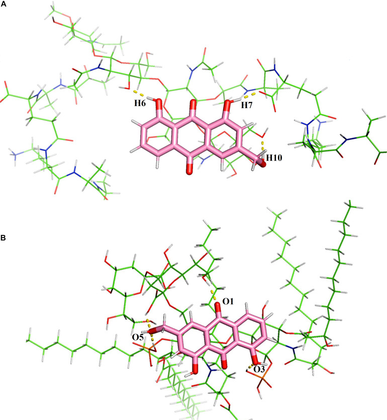 FIGURE 12