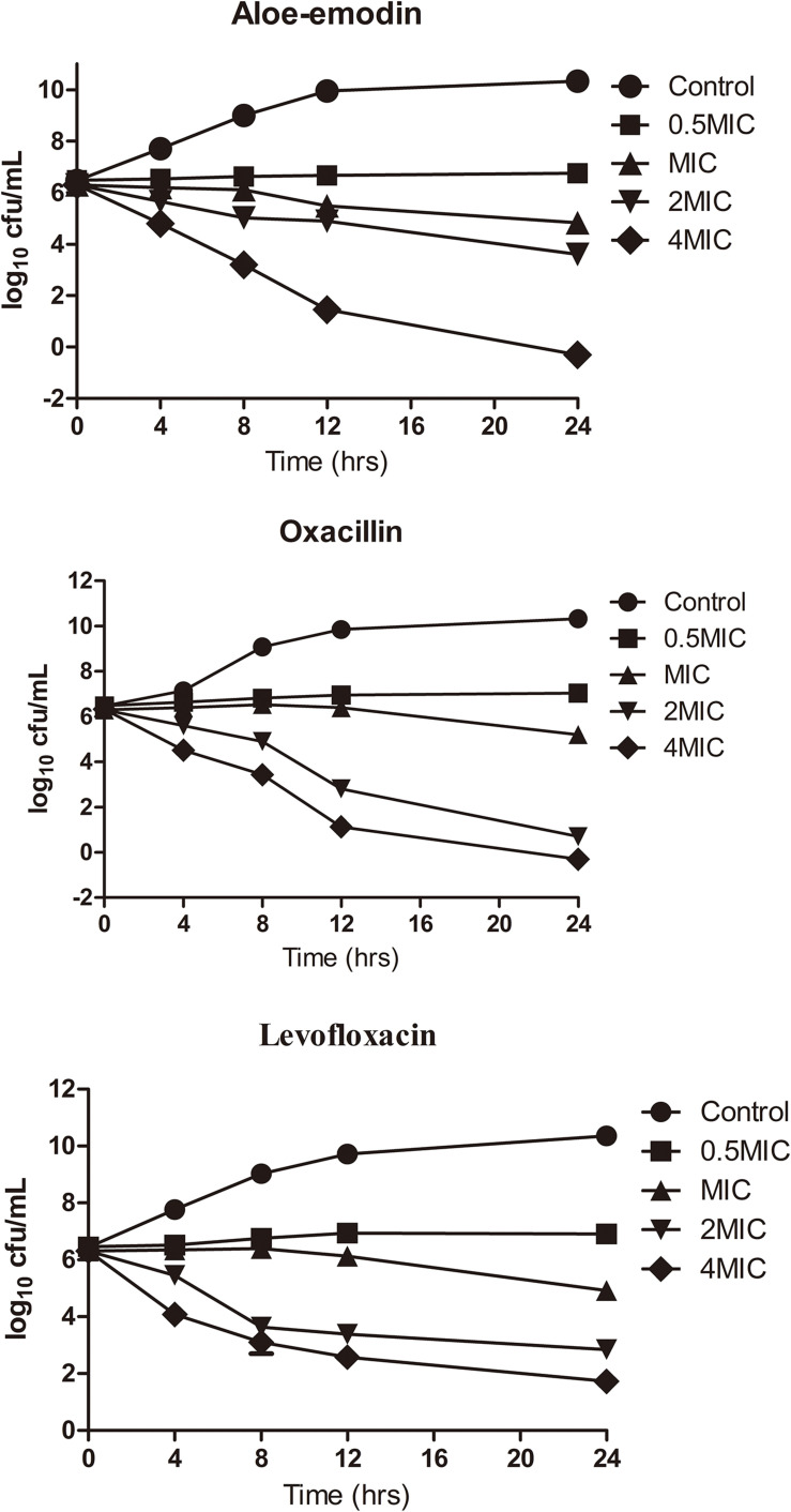 FIGURE 3