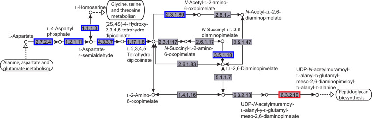 FIGURE 11