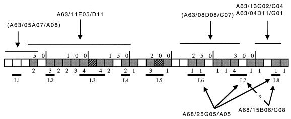 FIG. 6