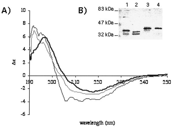 FIG. 7