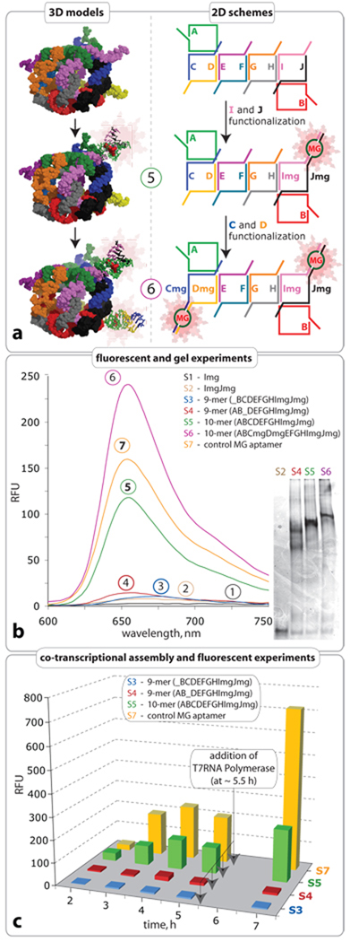 Figure 4