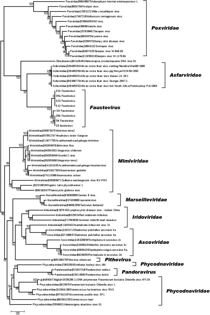 FIG 3