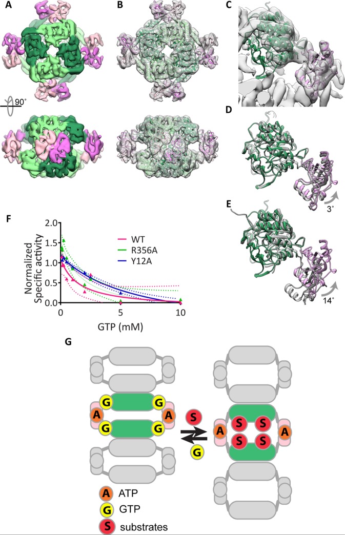 FIGURE 5: