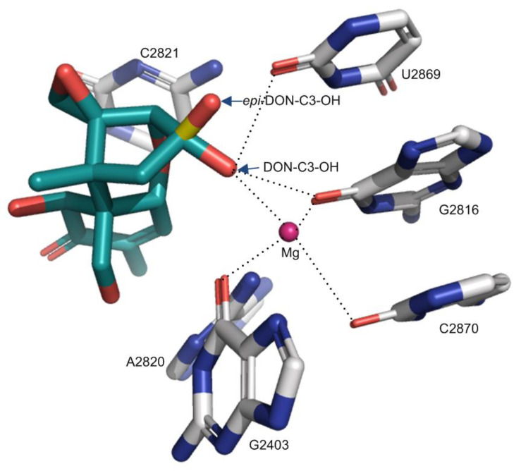 Figure 5