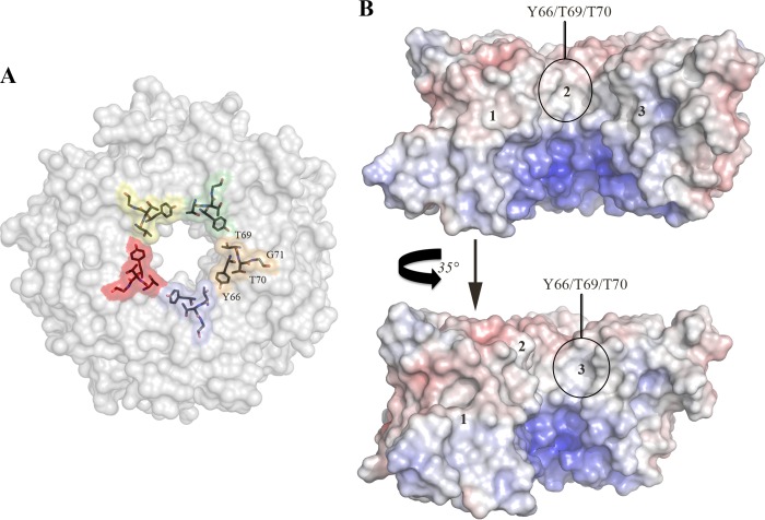 FIGURE 4.