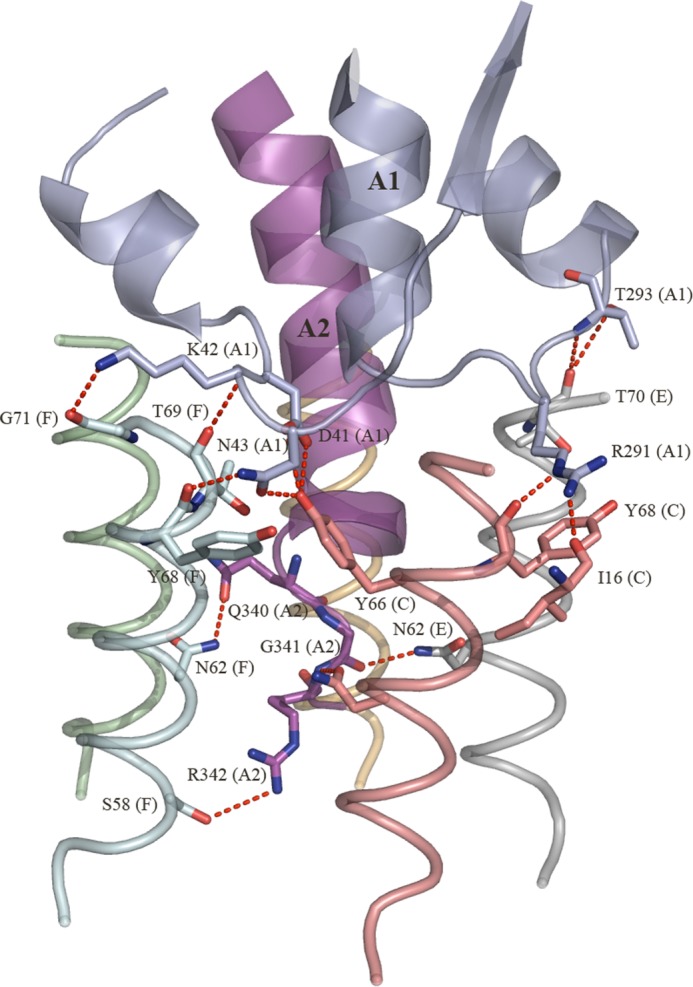 FIGURE 3.