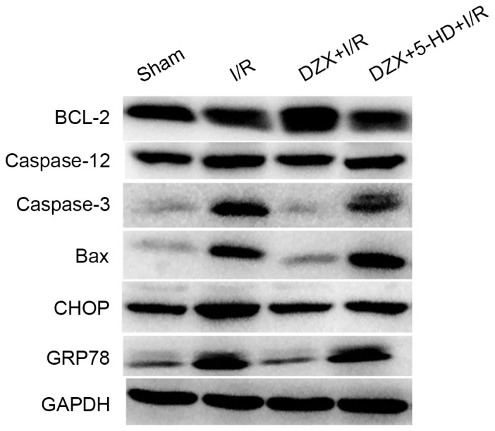 Figure 5.