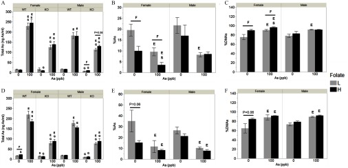 Figures 2A and 2D are bar graphs plotting total arsenic (nanograms As per milliliter; y-axis) across arsenic (parts per billion; x-axis) for the wildtype and knockout female and male mice. Figures 2B and 2E are bar graphs plotting percentage of inorganic arsenic (y-axis) across arsenic (parts per billion; x-axis) for the wildtype and knockout female and male mice. Figure 2C and 2F are bar graphs plotting percentage of dimethyl arsenic (y-axis) across arsenic (parts per billion; x-axis) for the wildtype and knockout female and male mice.