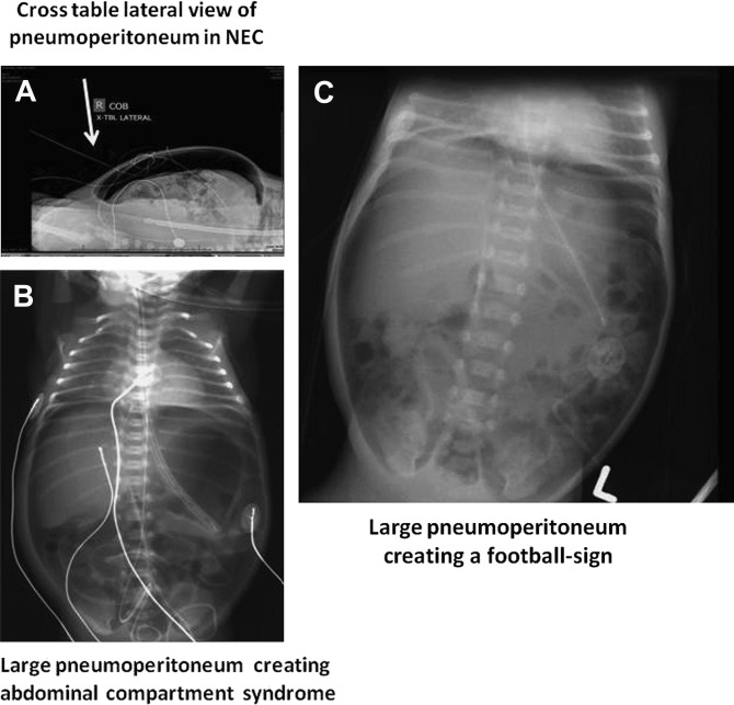 Fig. 9