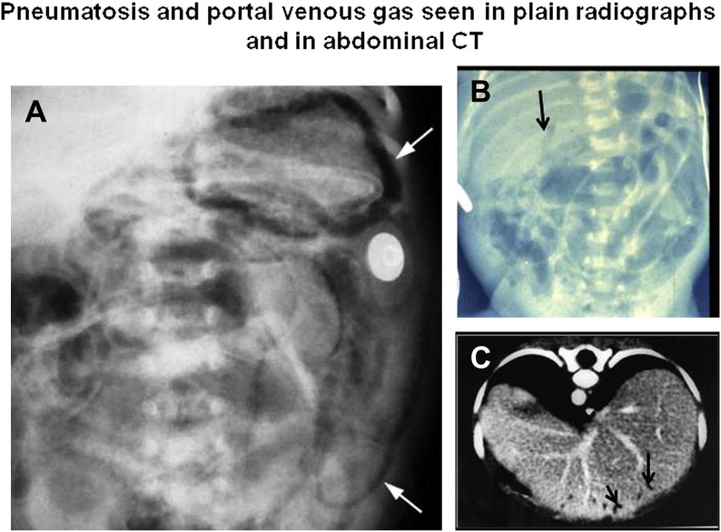 Fig. 7