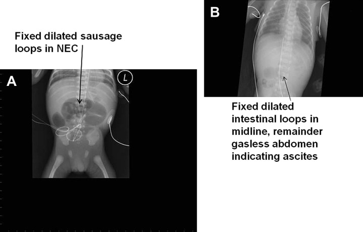 Fig. 8