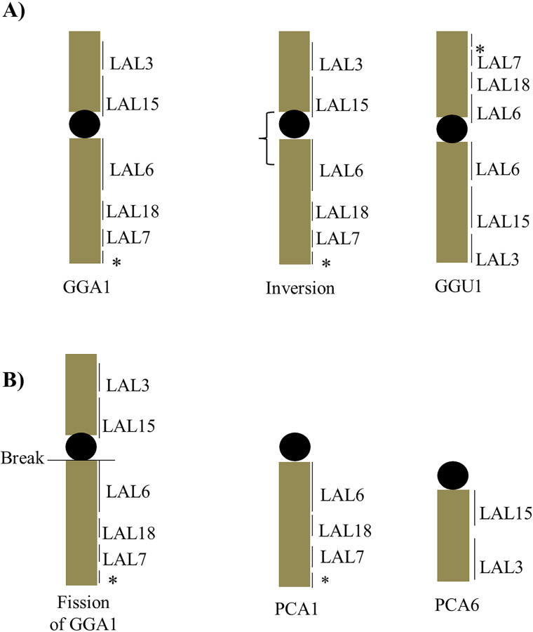 Fig 6