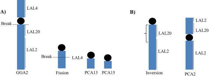 Fig 7