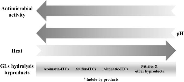 SCHEME 6