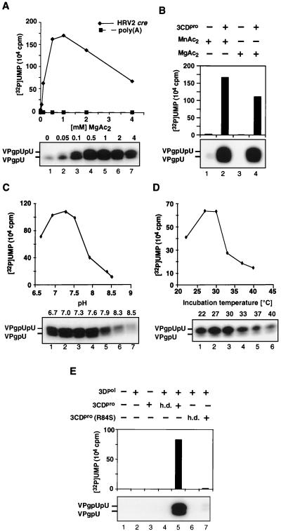 FIG. 5