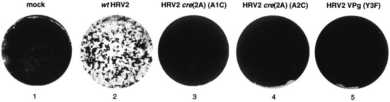 FIG. 9