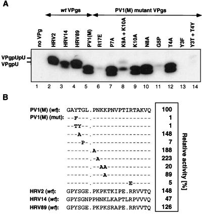 FIG. 8