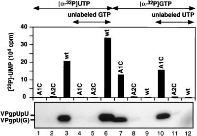 FIG. 6