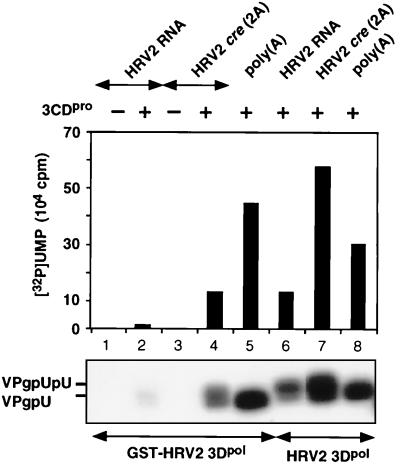 FIG. 7