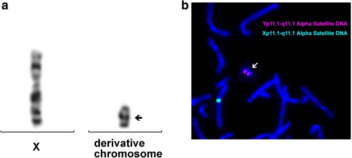 Fig. 4