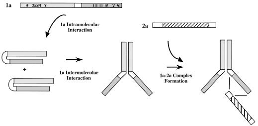 FIG. 6