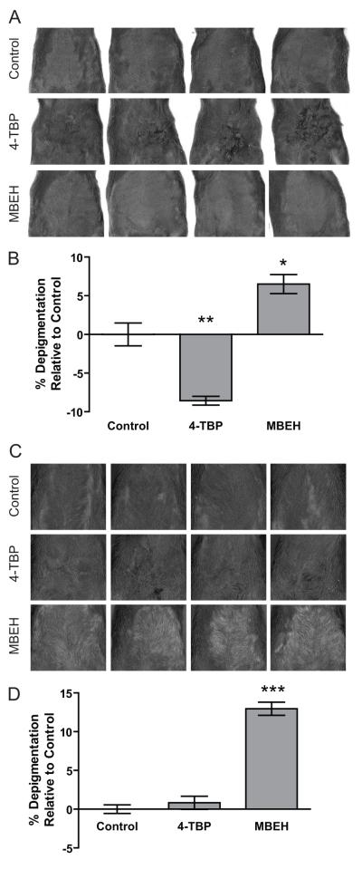 Fig.4