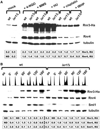 Figure 2.