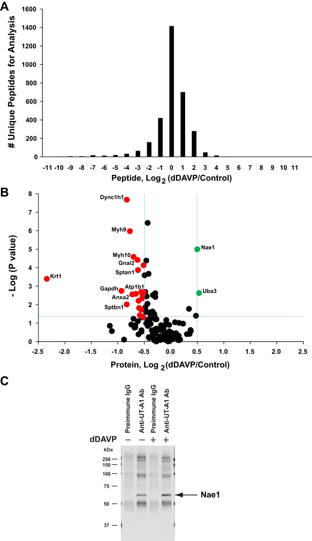 Fig. 11.