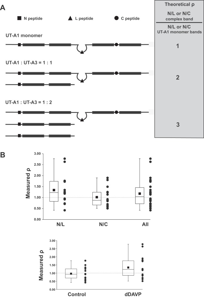 Fig. 13.