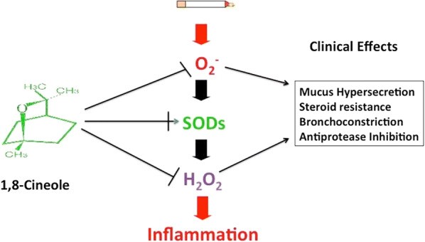 Fig. 2