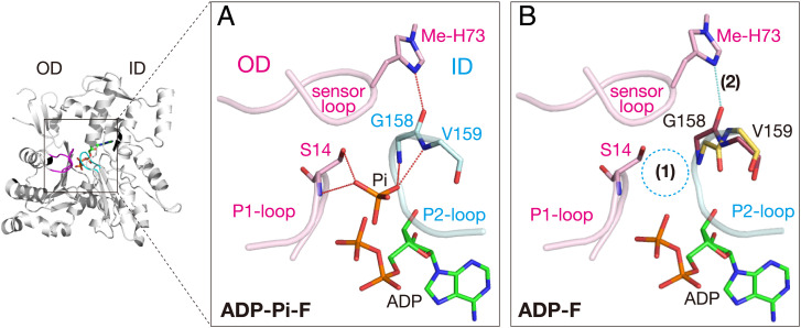 Fig. 6.