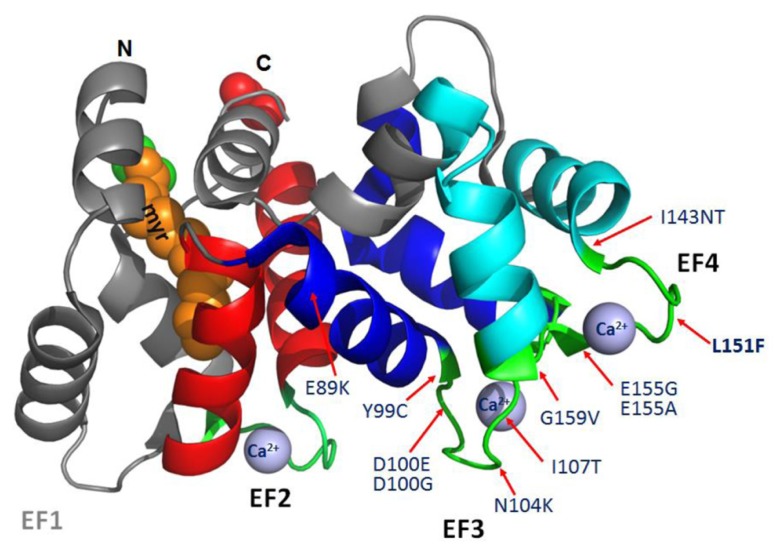 FIGURE 2