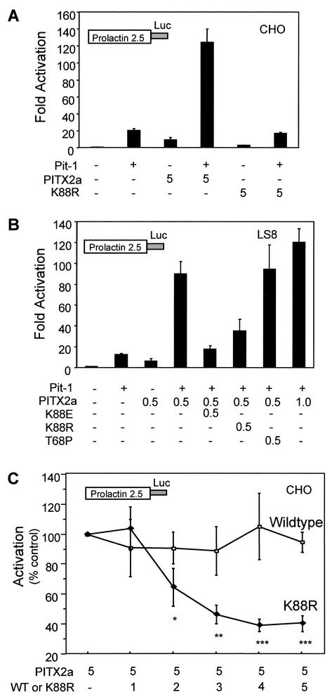 FIG. 10.