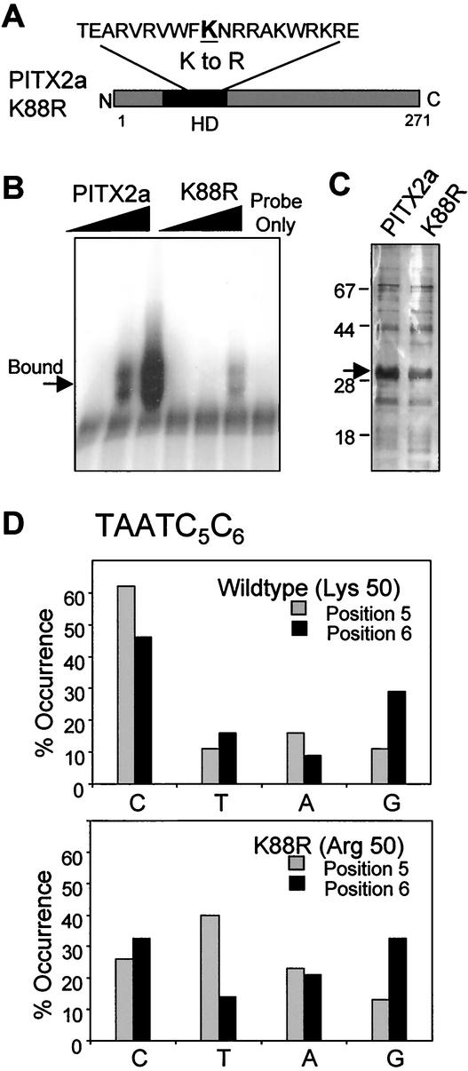 FIG. 8.