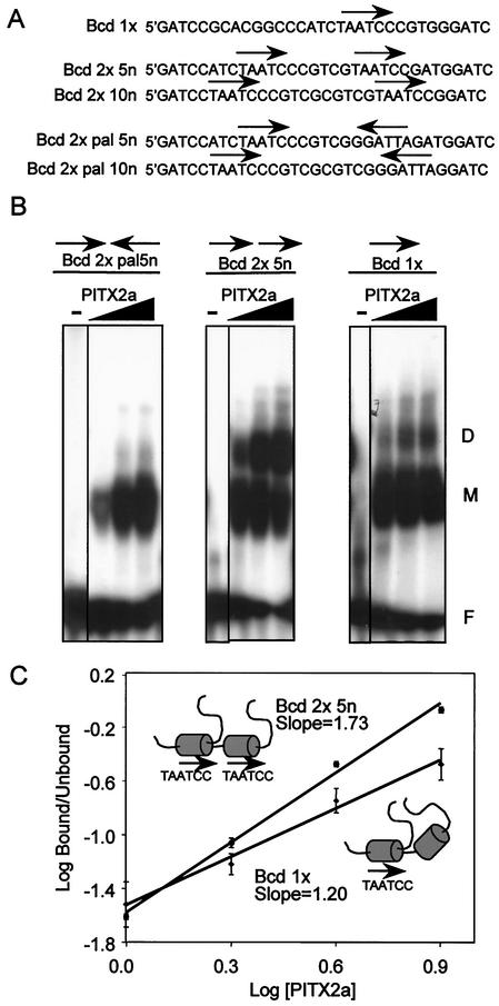 FIG. 4.