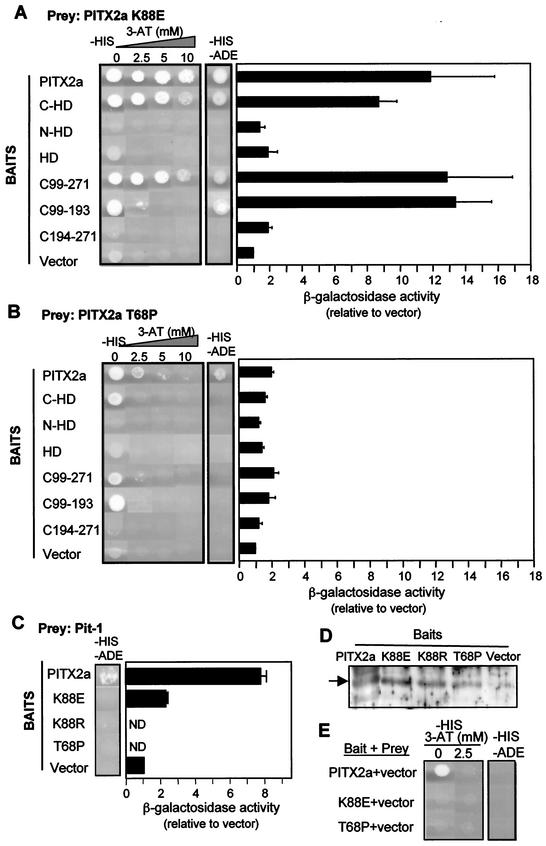 FIG.2.