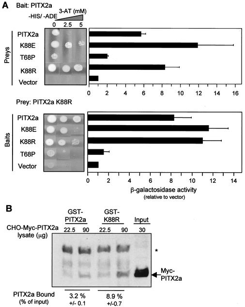 FIG. 9.