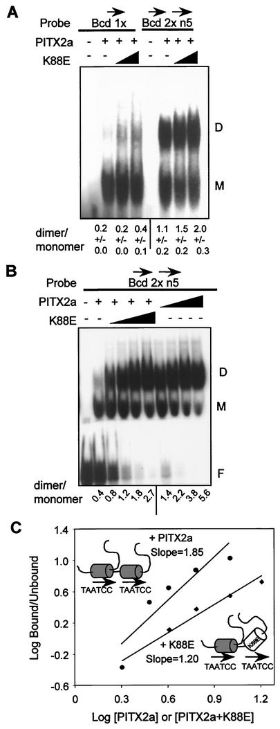 FIG. 6.