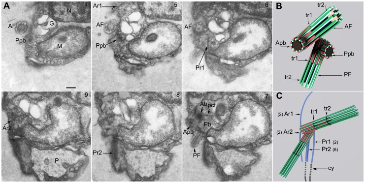 Figure 6
