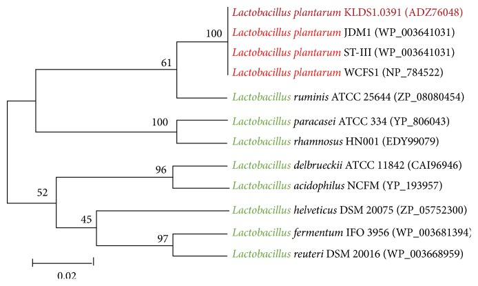 Figure 2