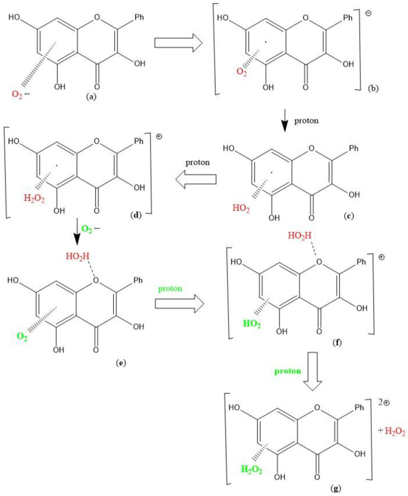 Scheme 2