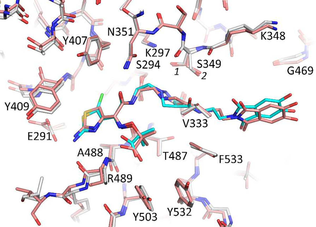 Figure 7.