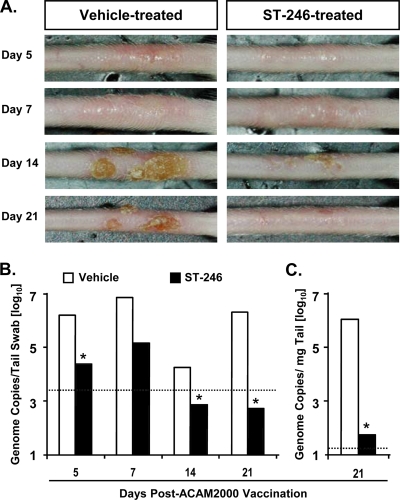 FIG. 4.