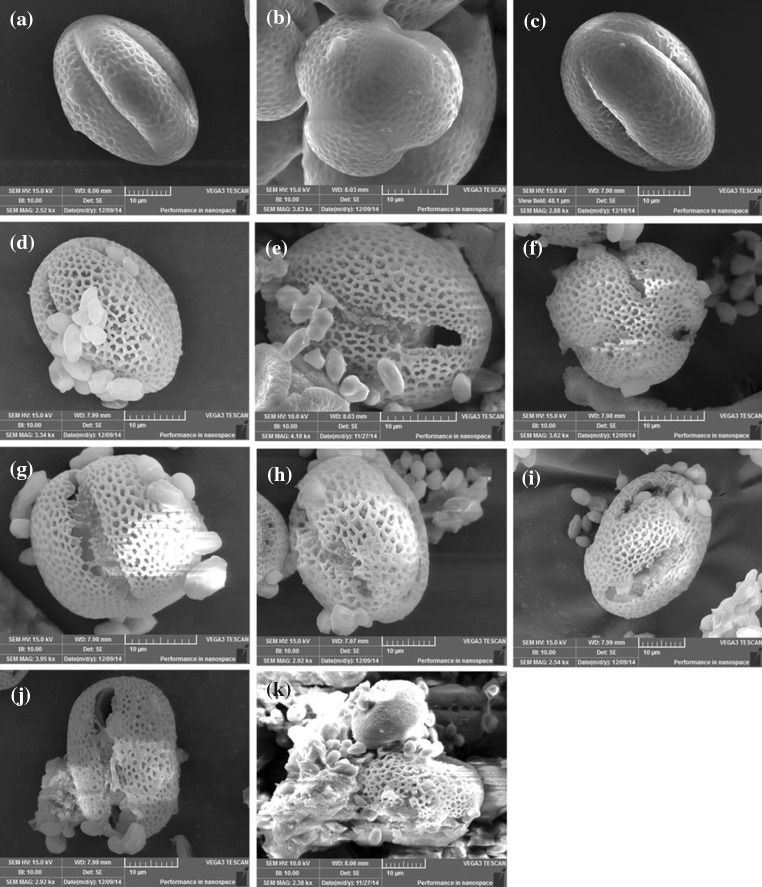 Fig. 5