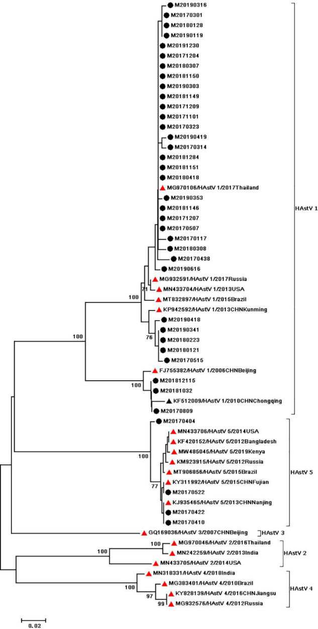 FIGURE 3